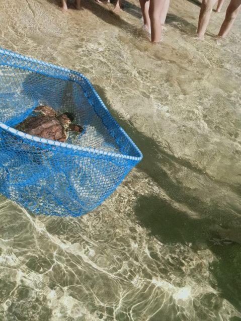 شقة Fronte Mare أفولا المظهر الخارجي الصورة