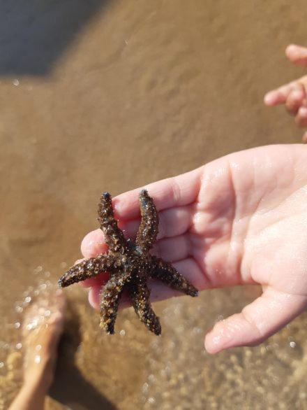 شقة Fronte Mare أفولا المظهر الخارجي الصورة