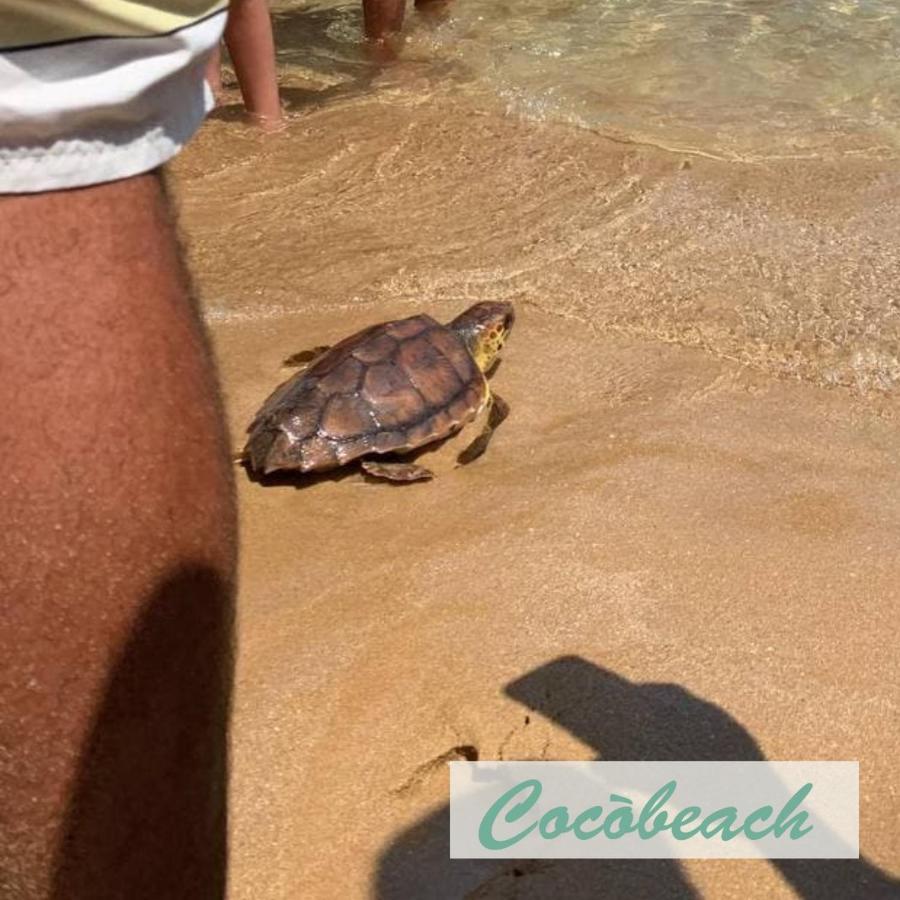 شقة Fronte Mare أفولا المظهر الخارجي الصورة